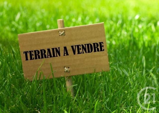 terrain - ST GILDAS DE RHUYS - 56