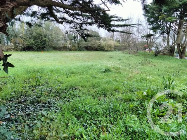 terrain - ST GILDAS DE RHUYS - 56