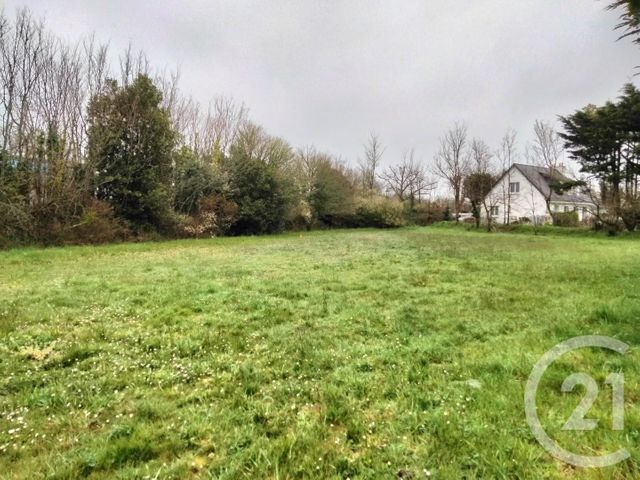 Terrain &agrave; vendre - 441 m2 - St Gildas De Rhuys - 56 - BRETAGNE