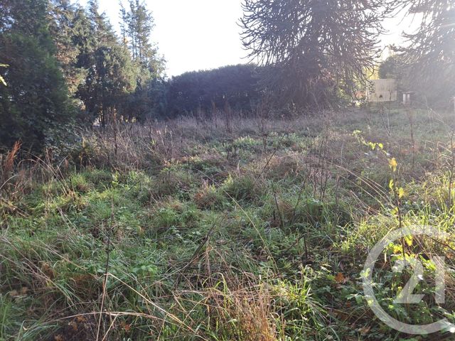 Maison &agrave; vendre - 8 pi&egrave;ces - 254 m2 - Piscop - 95 - ILE-DE-FRANCE