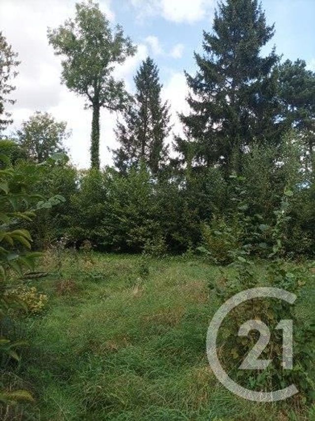 Terrain &agrave; vendre - 4900 m2 - Boult Sur Suippe - 51 - CHAMPAGNE-ARDENNE