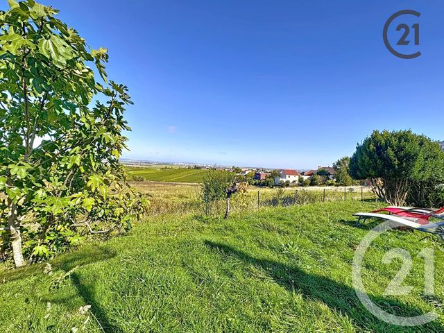 Maison &agrave; vendre - 9 pi&egrave;ces - 209,91 m2 - Villers Allerand - 51 - CHAMPAGNE-ARDENNE