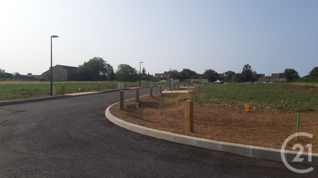 terrain - CHAMPMOTTEUX - 91