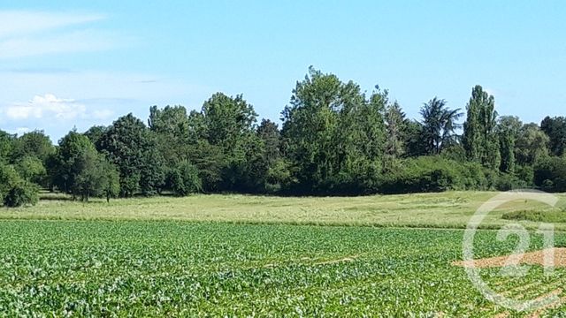 terrain - ST REMY LES CHEVREUSE - 78