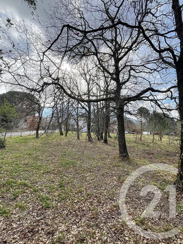 Terrain &agrave; vendre - 1300 m2 - Montesquieu Des Alberes - 66 - LANGUEDOC-ROUSSILLON