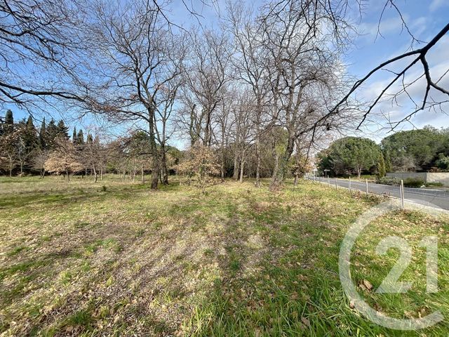 Terrain &agrave; vendre - 1300 m2 - Montesquieu Des Alberes - 66 - LANGUEDOC-ROUSSILLON