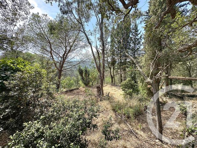 Maison à vendre - 10 pièces - 337,75 m2 - Oms - 66 - LANGUEDOC-ROUSSILLON