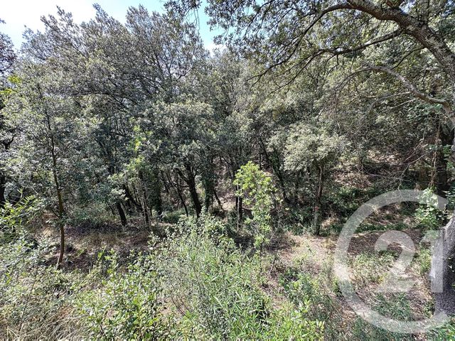 Maison à vendre - 10 pièces - 337,75 m2 - Oms - 66 - LANGUEDOC-ROUSSILLON