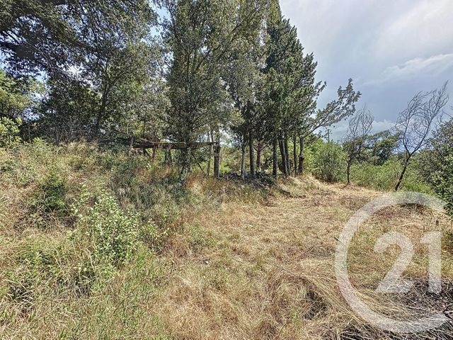 Maison à vendre - 10 pièces - 337,75 m2 - Oms - 66 - LANGUEDOC-ROUSSILLON