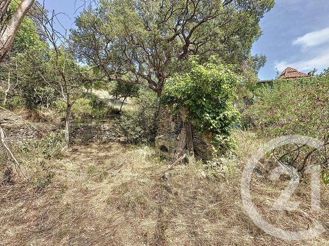 Maison à vendre - 10 pièces - 337,75 m2 - Oms - 66 - LANGUEDOC-ROUSSILLON