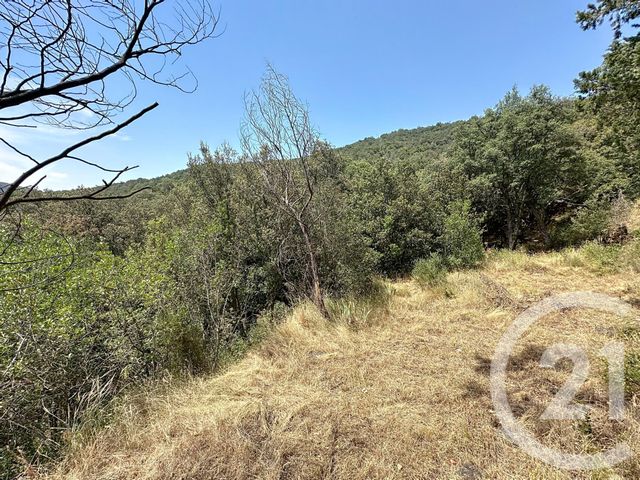 Maison à vendre - 10 pièces - 337,75 m2 - Oms - 66 - LANGUEDOC-ROUSSILLON