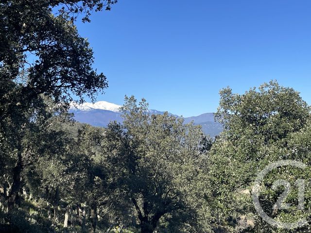 Maison à vendre - 6 pièces - 160 m2 - Le Boulou - 66 - LANGUEDOC-ROUSSILLON