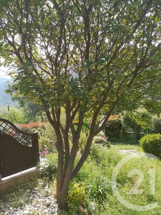 Maison &agrave; vendre - 6 pi&egrave;ces - 151 m2 - Arles Sur Tech - 66 - LANGUEDOC-ROUSSILLON