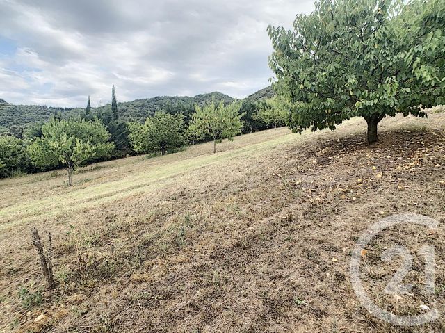 Terrain &agrave; vendre - 2900 m2 - Reynes - 66 - LANGUEDOC-ROUSSILLON