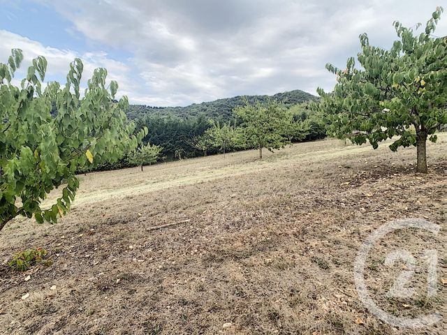 Terrain &agrave; vendre - 2900 m2 - Reynes - 66 - LANGUEDOC-ROUSSILLON