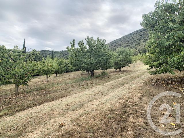 Terrain &agrave; vendre - 2900 m2 - Reynes - 66 - LANGUEDOC-ROUSSILLON