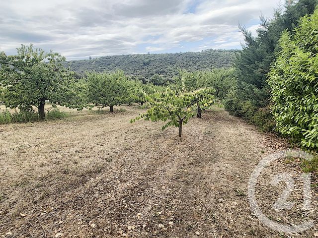 Terrain &agrave; vendre - 2900 m2 - Reynes - 66 - LANGUEDOC-ROUSSILLON