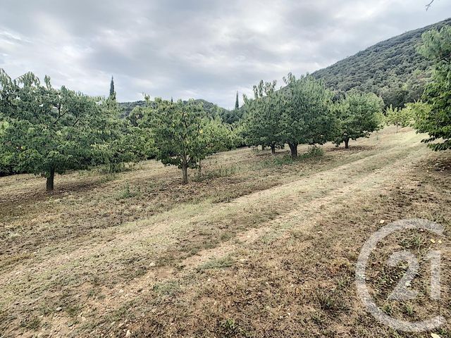 Terrain &agrave; vendre - 2900 m2 - Reynes - 66 - LANGUEDOC-ROUSSILLON