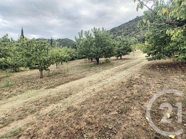 Terrain &agrave; vendre - 2900 m2 - Reynes - 66 - LANGUEDOC-ROUSSILLON