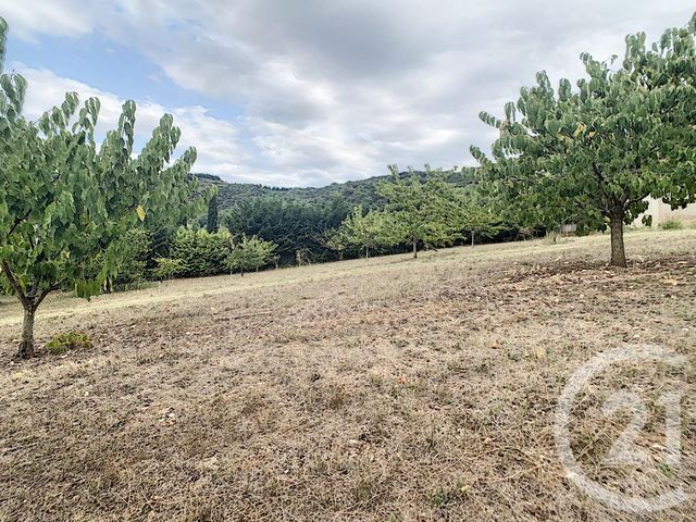 Terrain &agrave; vendre - 2900 m2 - Reynes - 66 - LANGUEDOC-ROUSSILLON