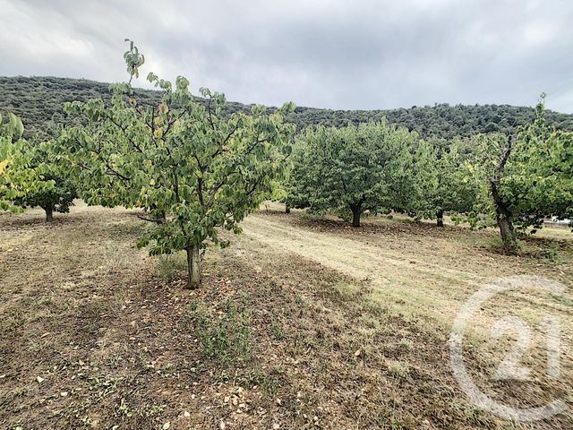 Terrain &agrave; vendre - 2900 m2 - Reynes - 66 - LANGUEDOC-ROUSSILLON