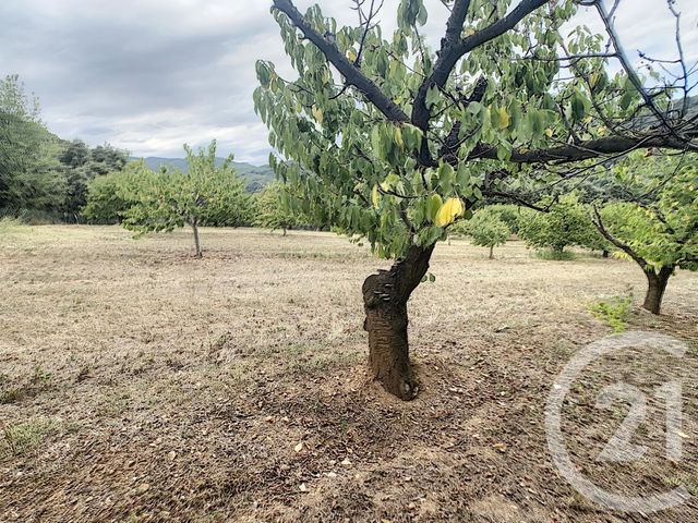 Terrain &agrave; vendre - 2900 m2 - Reynes - 66 - LANGUEDOC-ROUSSILLON