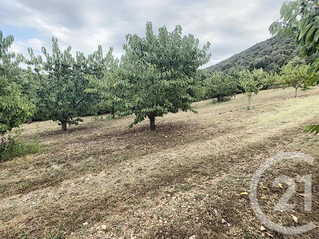 Terrain &agrave; vendre - 2900 m2 - Reynes - 66 - LANGUEDOC-ROUSSILLON