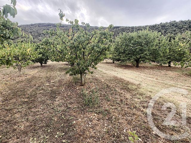 Terrain &agrave; vendre - 2900 m2 - Reynes - 66 - LANGUEDOC-ROUSSILLON
