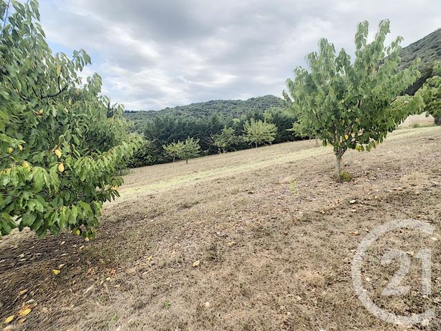 Terrain &agrave; vendre - 2900 m2 - Reynes - 66 - LANGUEDOC-ROUSSILLON