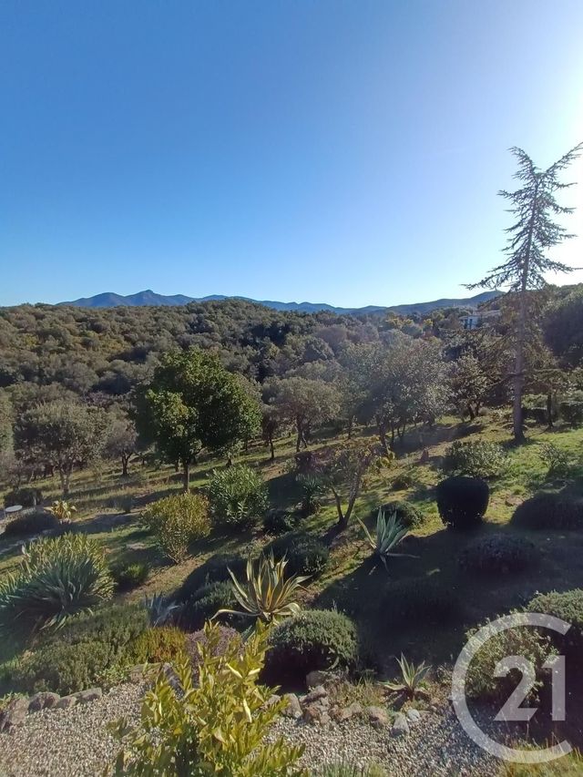 Maison à vendre - 6 pièces - 204 m2 - Ceret - 66 - LANGUEDOC-ROUSSILLON