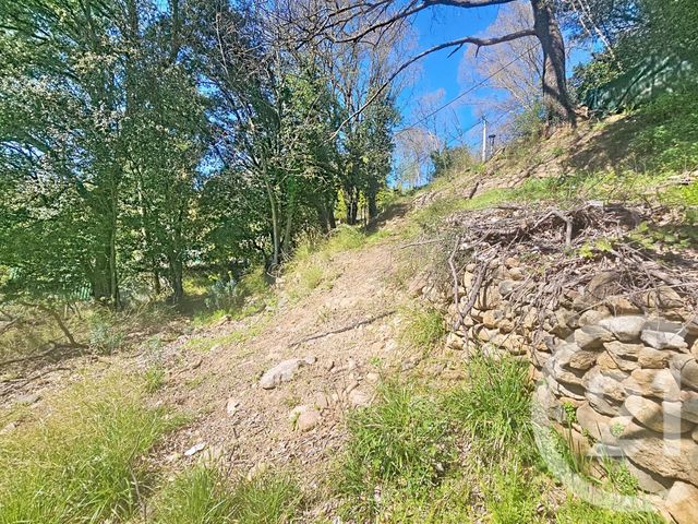 Terrain &agrave; vendre - 1654 m2 - Maureillas Las Illas - 66 - LANGUEDOC-ROUSSILLON