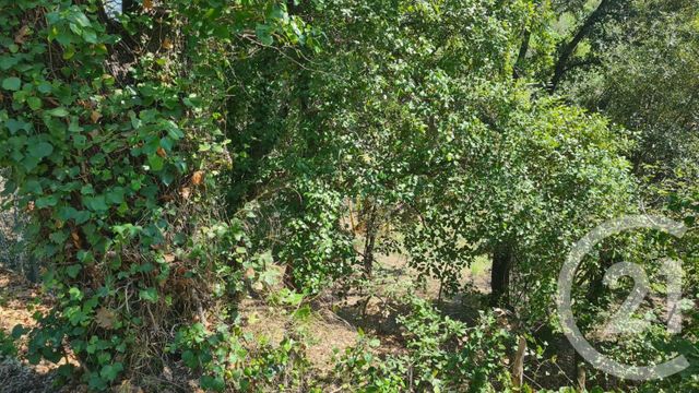 Terrain à vendre - 1654 m2 - Maureillas Las Illas - 66 - LANGUEDOC-ROUSSILLON