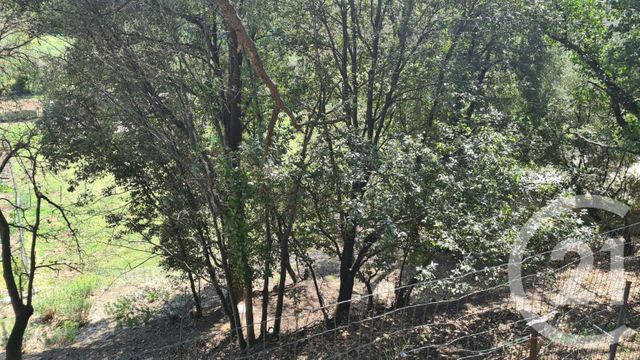 Terrain à vendre - 1654 m2 - Maureillas Las Illas - 66 - LANGUEDOC-ROUSSILLON