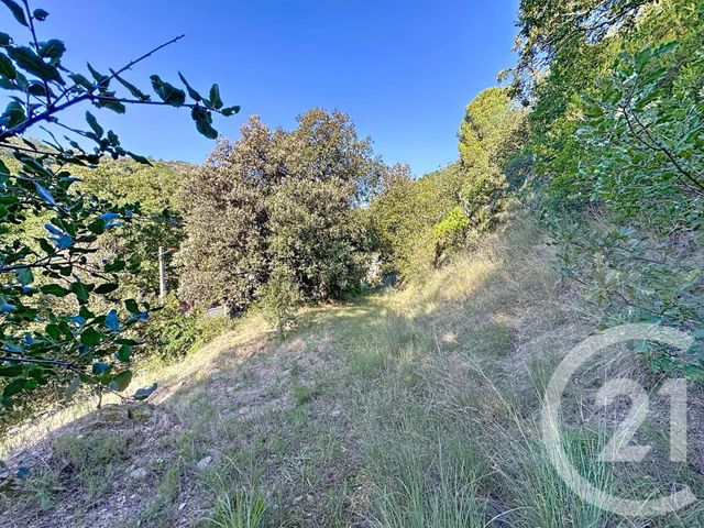 Terrain &agrave; vendre - 17109 m2 - Arles Sur Tech - 66 - LANGUEDOC-ROUSSILLON