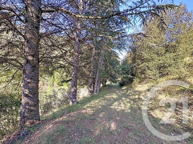 Terrain &agrave; vendre - 17109 m2 - Arles Sur Tech - 66 - LANGUEDOC-ROUSSILLON