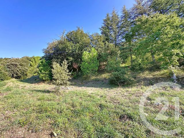 Terrain &agrave; vendre - 17109 m2 - Arles Sur Tech - 66 - LANGUEDOC-ROUSSILLON
