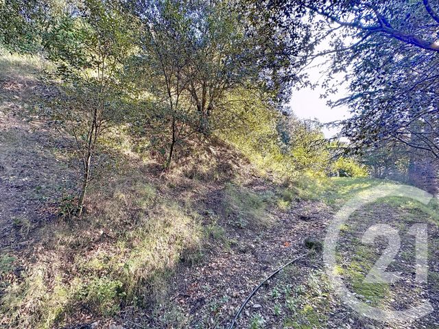 Terrain &agrave; vendre - 17109 m2 - Arles Sur Tech - 66 - LANGUEDOC-ROUSSILLON