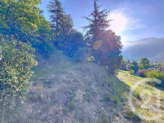 Terrain &agrave; vendre - 17109 m2 - Arles Sur Tech - 66 - LANGUEDOC-ROUSSILLON