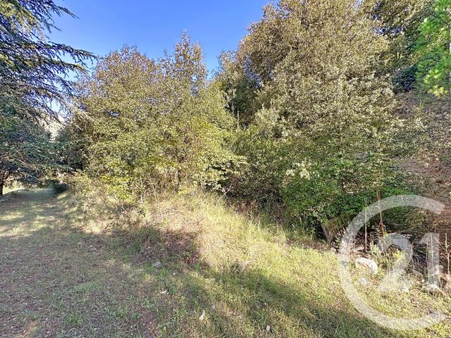 Terrain &agrave; vendre - 17109 m2 - Arles Sur Tech - 66 - LANGUEDOC-ROUSSILLON