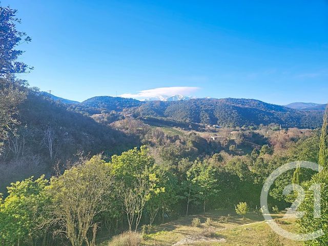 maison - REYNES - 66