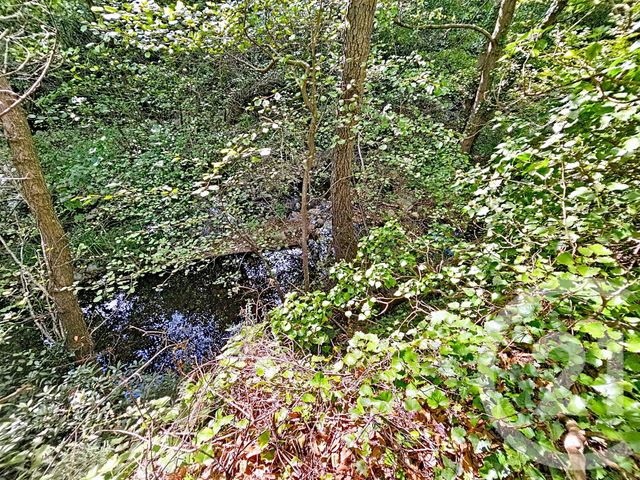 Maison &agrave; vendre - 3 pi&egrave;ces - 42,36 m2 - Reynes - 66 - LANGUEDOC-ROUSSILLON