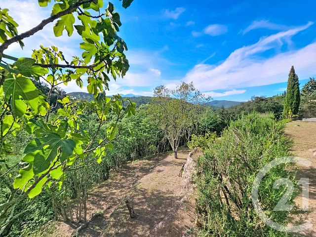 Maison &agrave; vendre - 3 pi&egrave;ces - 42,36 m2 - Reynes - 66 - LANGUEDOC-ROUSSILLON