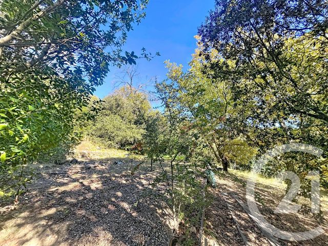 Maison à vendre - 5 pièces - 172,26 m2 - Reynes - 66 - LANGUEDOC-ROUSSILLON