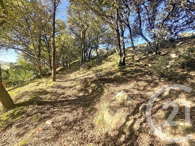 Maison à vendre - 5 pièces - 172,26 m2 - Reynes - 66 - LANGUEDOC-ROUSSILLON