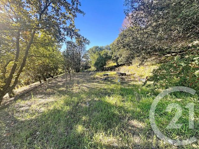 Maison à vendre - 5 pièces - 172,26 m2 - Reynes - 66 - LANGUEDOC-ROUSSILLON