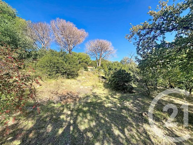 Maison à vendre - 5 pièces - 172,26 m2 - Reynes - 66 - LANGUEDOC-ROUSSILLON