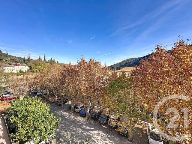 appartement - AMELIE LES BAINS PALALDA - 66