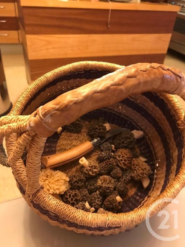 Maison &agrave; vendre - 6 pi&egrave;ces - 258,50 m2 - Arles Sur Tech - 66 - LANGUEDOC-ROUSSILLON