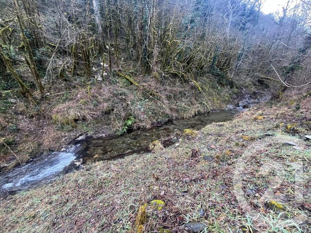 Maison &agrave; vendre - 6 pi&egrave;ces - 258,50 m2 - Arles Sur Tech - 66 - LANGUEDOC-ROUSSILLON