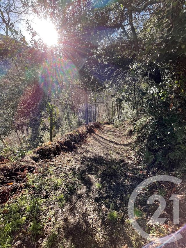 Maison &agrave; vendre - 6 pi&egrave;ces - 258,50 m2 - Arles Sur Tech - 66 - LANGUEDOC-ROUSSILLON